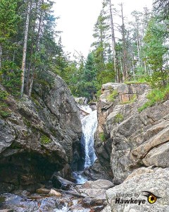 Chasm Falls, Rocky Mountain National Park