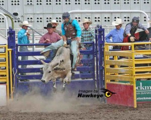 Bull riding in Missoula, MT.