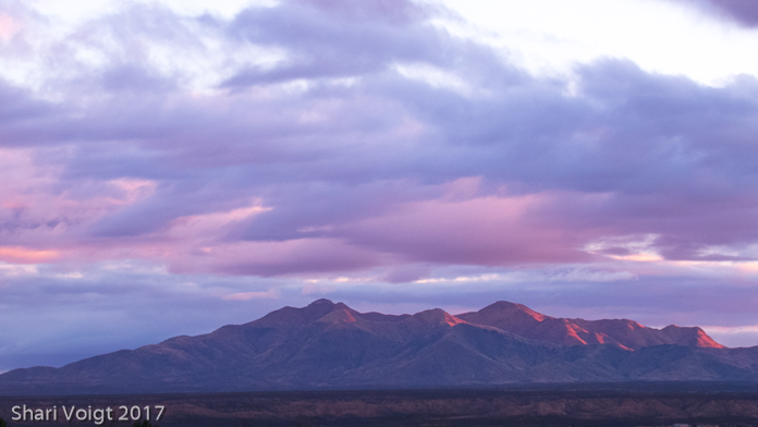 SKP Saguaro Co-op View of Dragoon Mountain Sunrise