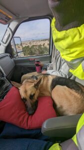 Cramped But Not Complaining